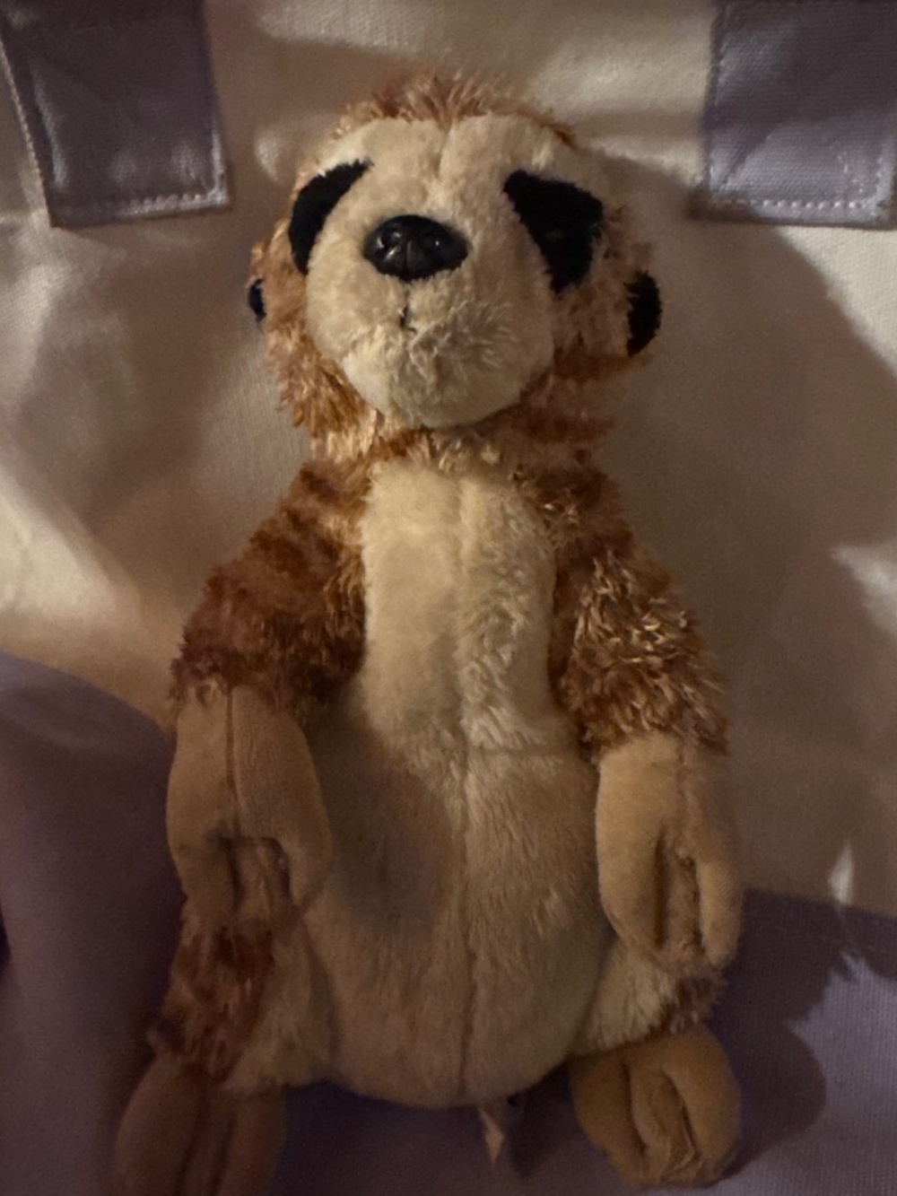 Webkinz Meerkat stuffed animal by Ganz